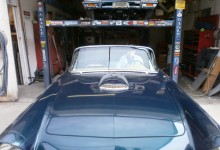 Jim & Lynn's 1956 Ford Thunderbird