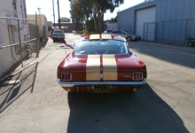 Doug's 1966 Shelby Mustang GT350
